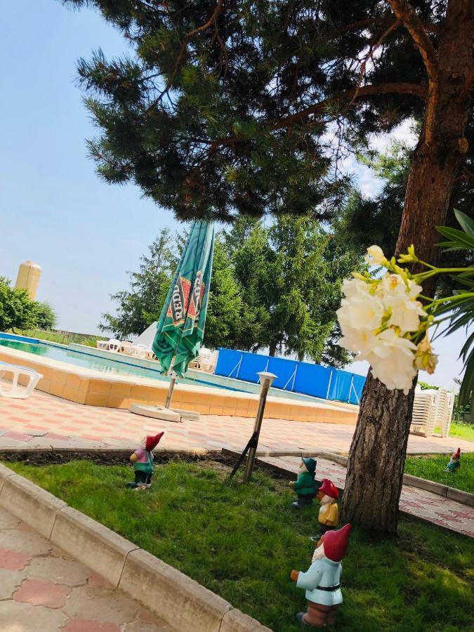 Pensiunea Paradis Vrancean Cotesti  Exterior photo